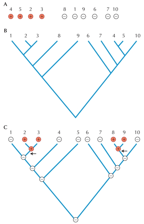 Figure 27.3 - Testing for convergence.