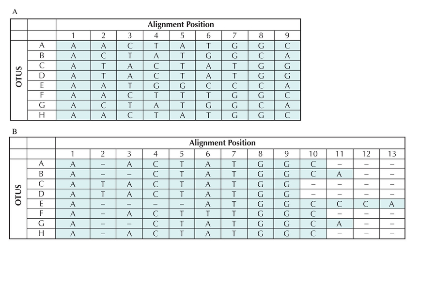 Figure 27.4 - (A) Alignment showing character states for nine alignment positions in eight genes (A–H).