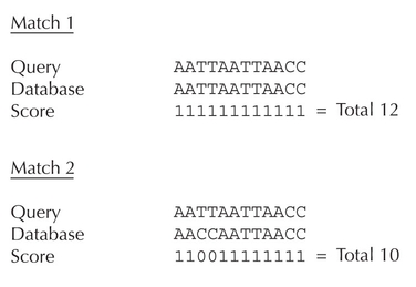 Figure 27.5 - Alignment and scoring as in BLAST.