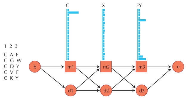 Figure 27.7 - A simple hidden Markov model for a sequence alignment.