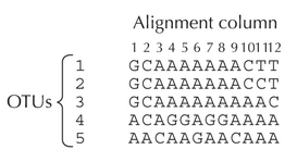 Figure 27.9 - A hypothetical sequence alignment.