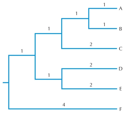 Figure 27.13 - Tree for UPGMA.