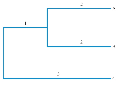 Figure 27.16 - An ultrameric tree.