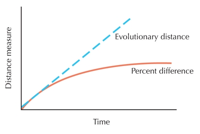 Figure 27.18 - Distance corrections.