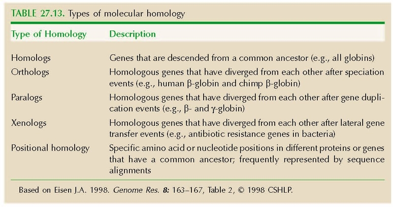 TABLE 27.13. Types of molecular homology
