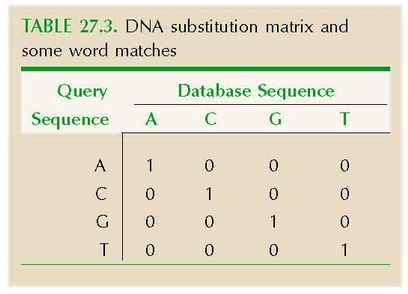 TABLE 27.3. DNA substitution matrix and some word matches