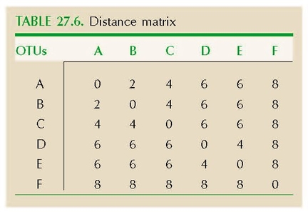 TABLE 27.6. Distance matrix