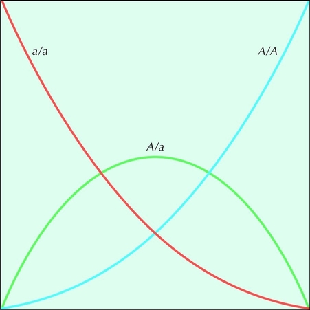 Figure 28.0 - Hardy-Weinberg distribution.