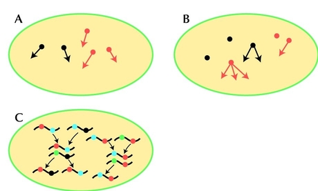 Figure 28.2 - (A) Physics deals with populations of atoms that remain intact and do not change state.