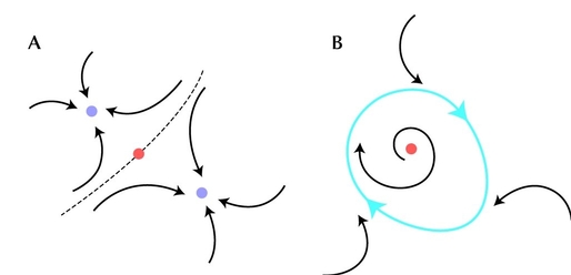 Figure 28.10 - (A) If there is more than one stable equilibrium, then where the population ends up depends on its initial state.