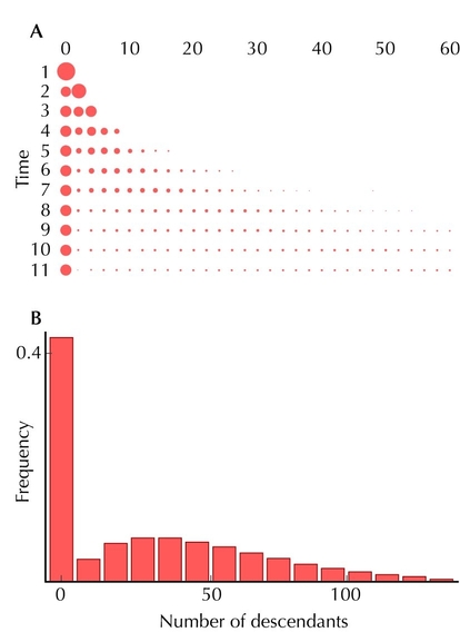 Figure 28.20 - A branching process leads to a broadly spread distribution.