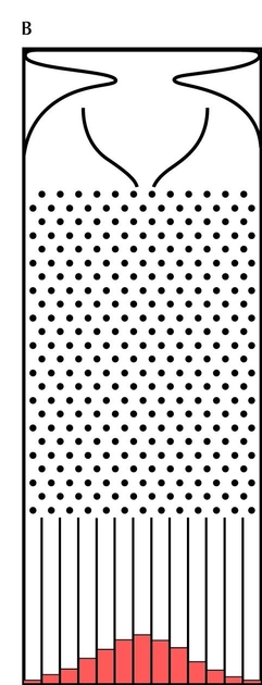 Figure 28.23 - (B) Rendering of Galton’s quincunx based on an illustration in his book <i>Natural Inheritance</i>.