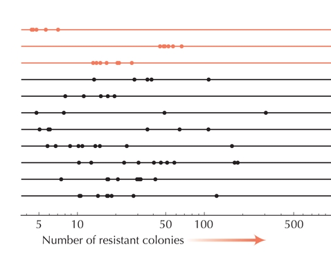 Figure WN15.1 - Fluctuations in the numbers of colonies resistant to phage demonstrate the inherent randomness of reproduction.