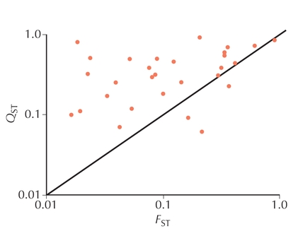 Figure WN16.2 - Morphological divergence (QST) between populations is typically greater than divergence of genetic markers (FST).