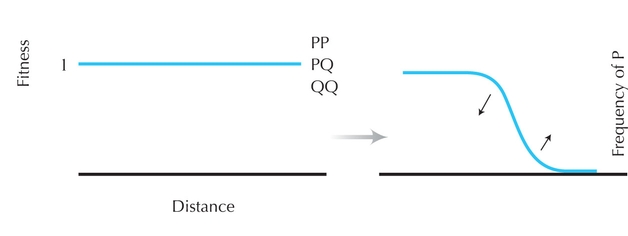 Figure WN18.8