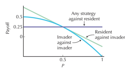 Figure WN20.7 - The expected payoff for different kinds of contests in the hawk–dove game, when the resident population is at the evolutionarily stable strategy (ESS) (P = 0.5,