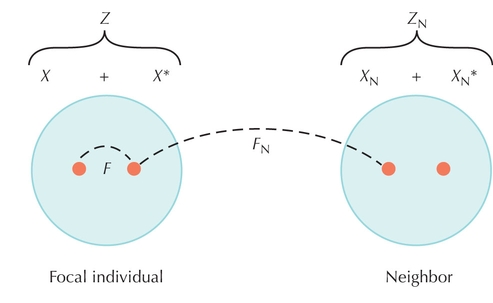 Figure WN21.6 - Calculating r from identity by descent.