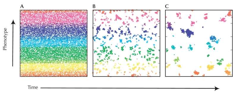 Figure WN22.2 - “Descent with modification” leads to phenotypic clustering.