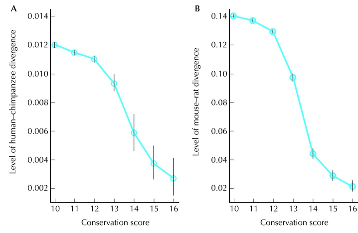 Figure WN26.3 - (A) The average divergence between human and chimp, at sites adjacent to 16-base-pair windows of varying degrees of conservation.