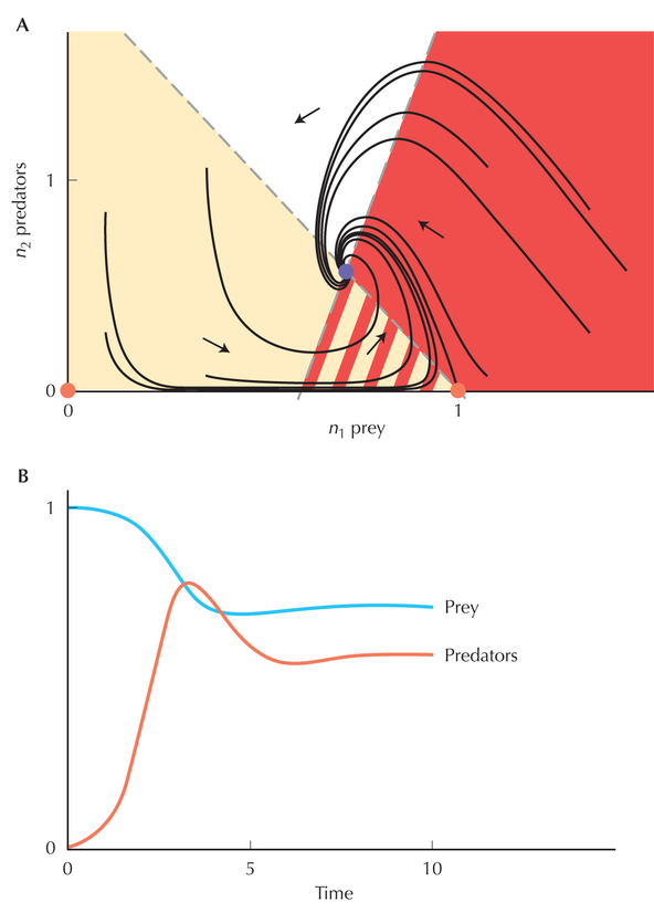 Figure WN28.2 - Stable coexistence of prey with predators.