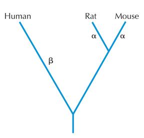 Figure P13.1