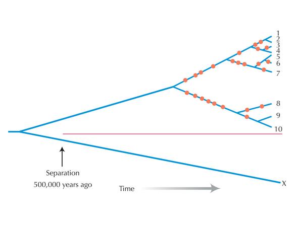 Figure P13.2
