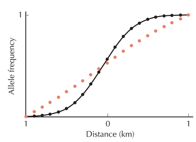 Figure P16.2