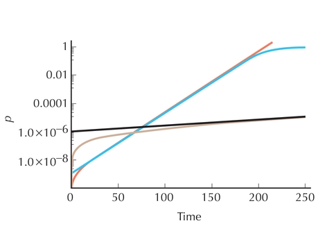 Figure P17.4