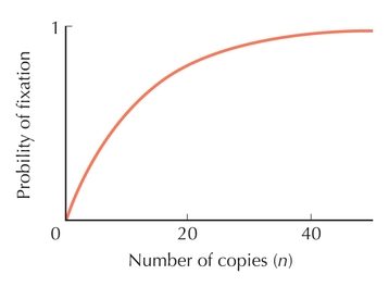Figure P18.2