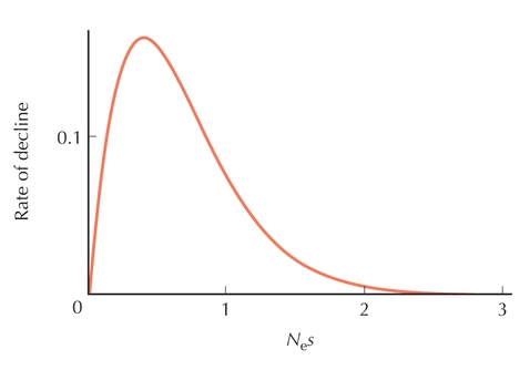 Figure P18.3