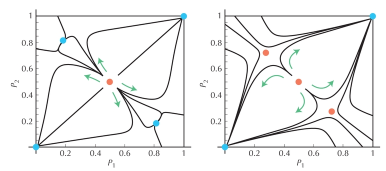 Figure P18.6