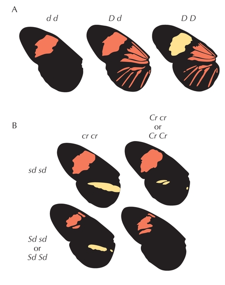 Figure P19.2