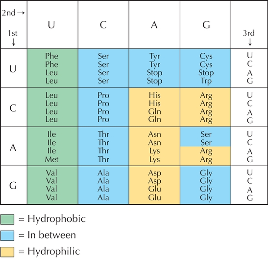 Figure P19.6