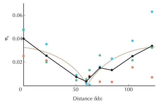 Figure P19.8