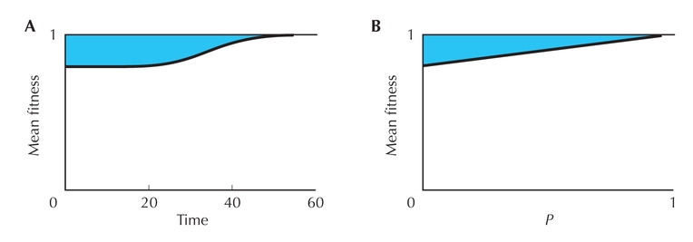 Figure P19.10