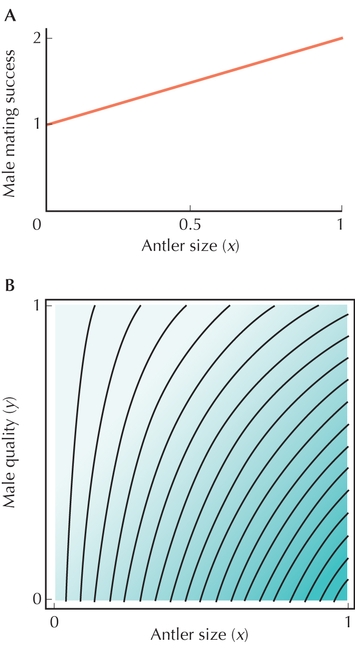 Figure P20.3