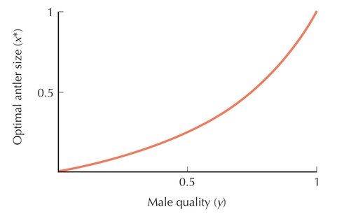 Figure P20.9