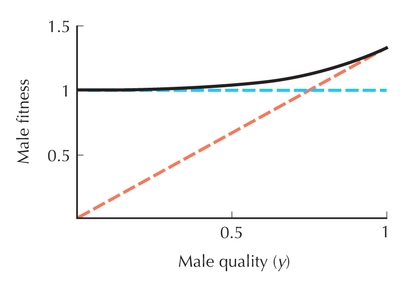 Figure P20.10