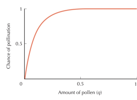 Figure P21.1