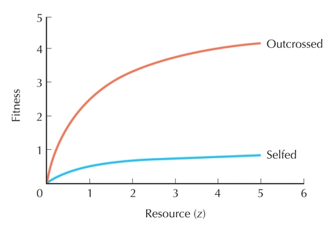 Figure P21.2