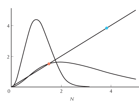 Figure P21.5