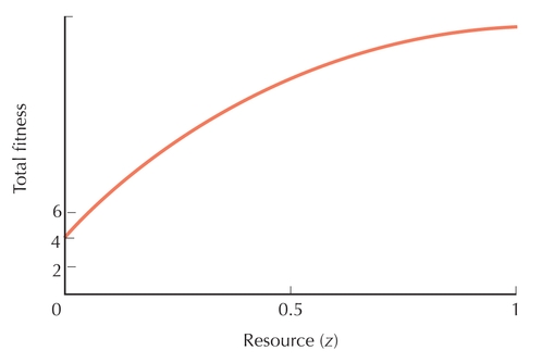 Figure P21.6