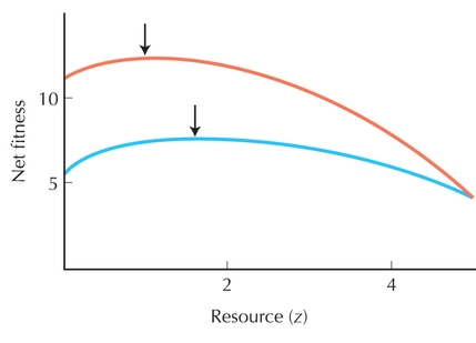 Figure P21.7