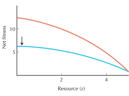 Figure P21.8