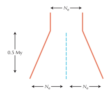 Figure P22.1