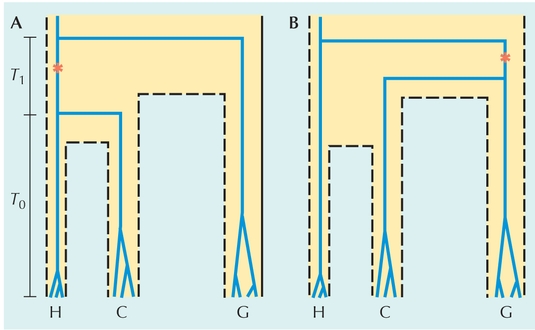 Figure P22.2