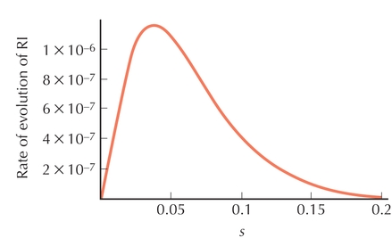 Figure P22.6