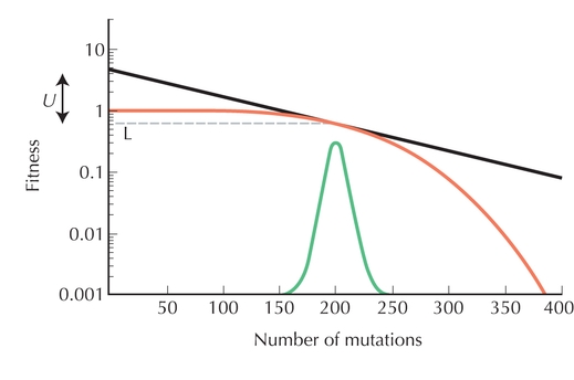 Figure P23.6